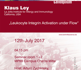 BLSC - Leukocyte Integrin Activation under Flow<i></i>