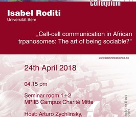 BLSC - Cell-cell communication in African trypanosomes: the art of being sociable?