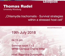 BLSC - Chlamydia trachomatis - Survival strategies within a stressed host cell