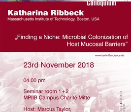 Finding a Niche: Microbial Colonization of Host Mucosal Barriers 