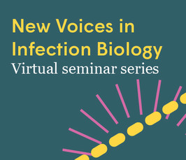 Interferon: Tug of War between Host and Pathogen |New Voices in Infection Biology