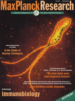 Helicobacter pylori.Negative contrast transmission electron microscopy