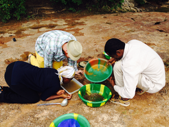 In Mali, researchers used spoons and ladles to search water samples for larvae of malaria mosquitoes.