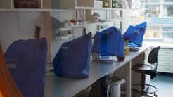 Mikroskope mit Abdeckung vor Fenster
