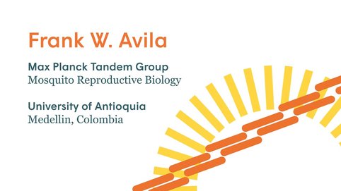 Frank Avilas Forschung ist stark von der aktuellen Pandemie betroffen, da die kolumbianische Regierung eine strenge Quarantäne verhängt hat und das öffentliche Leben quasi stillsteht. Am Mittwoch haben wir Frank per Videoanruf in Medellin kontaktiert, um von seiner Situation zu erfahren.
