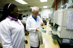 Stefan H.E. Kaufmann (rechts) führt Immunogenitätstests an menschlichen Proben durch.