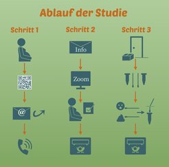 Beschreibung des Studienablaufs