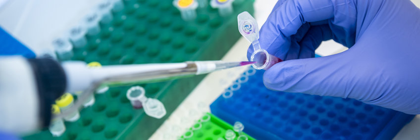 Max Planck Institute for Infection Biology International Summer Internship Max Planck Institute for Infection Biology International Summer Internship