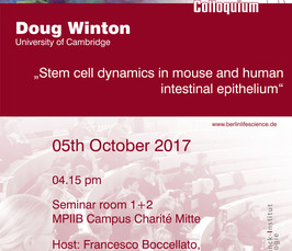 BLSC - Stem cell dynamics in mouse and human intestinal epithelium