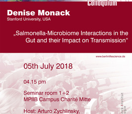 BLSC - Salmonella-Microbiome Interactions in the Gut and their Impact on Transmission 