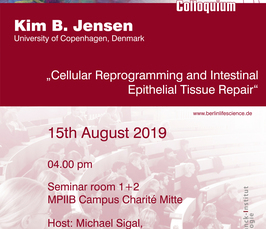 Cellular Reprogramming and Intestinal Epithelial Tissue Repair