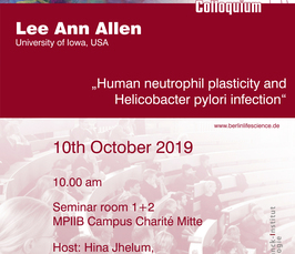 Human neutrophil plasticity and Helicobacter pylori infection