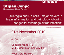 Microglia and NK cells - major players in brain inflammation and pathology following congenital cytomegalovirus infection