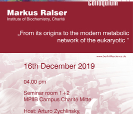 From its origins to the modern metabolic network of the eukaryotic