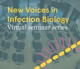 Innate immune sensing of pathogen-associated enzymatic activities 