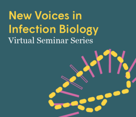 The role of serological data to understand the emergence of outbreaks of enterovirus-related diseases