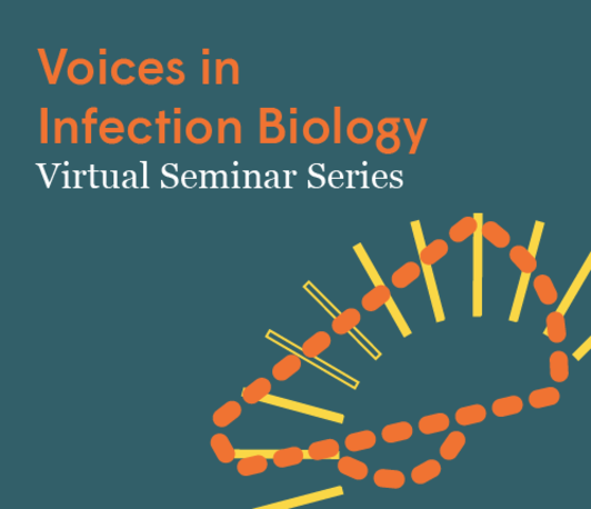 Mucosal neutrophilic inflammation in RSV susceptibility and severity: Lessons from human paediatric and experimental adult infection studies