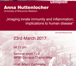 BLSC - Imaging innate immunity and inflammation; implications to human disease<i></i>